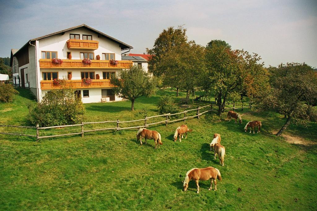 Biobauernhof Wolf-Hof Apartment Pressbaum Bagian luar foto